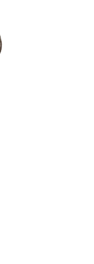 1000003557.gif