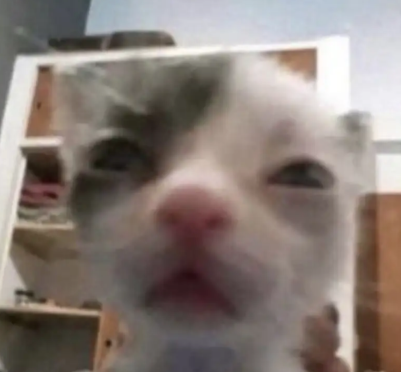 1000004157.png