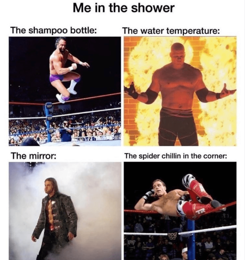 1000004693.png