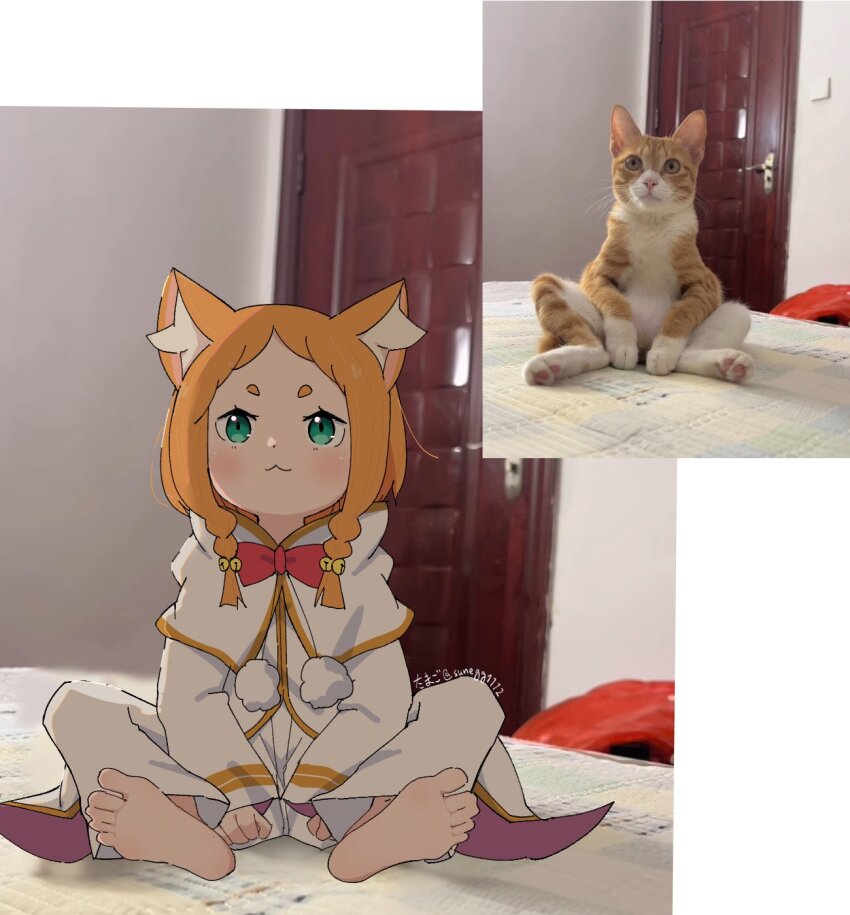 1000051033.jpg