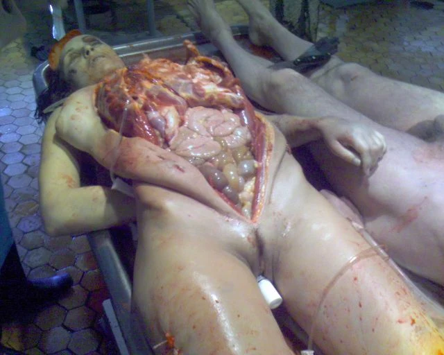 1000055029.webp