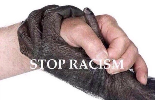 143Q6YJten8.jpg