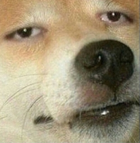 1664336888830.png