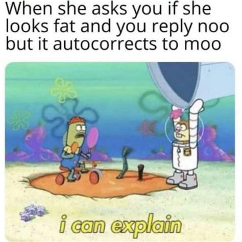 1740621924608.jpeg