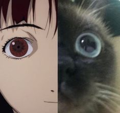 1742635662635.png