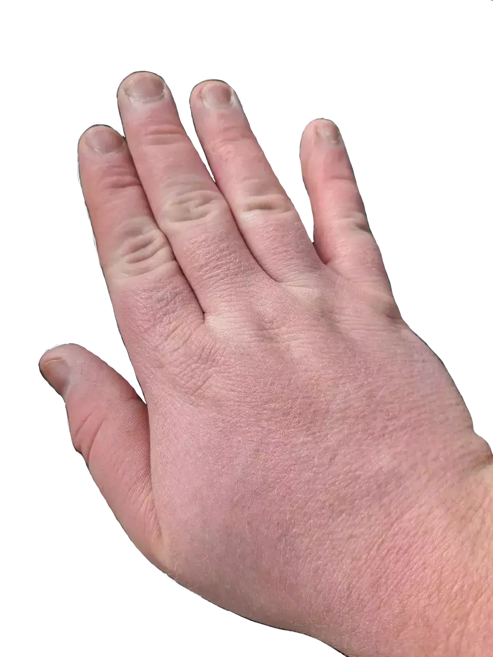 1749382660490.webp