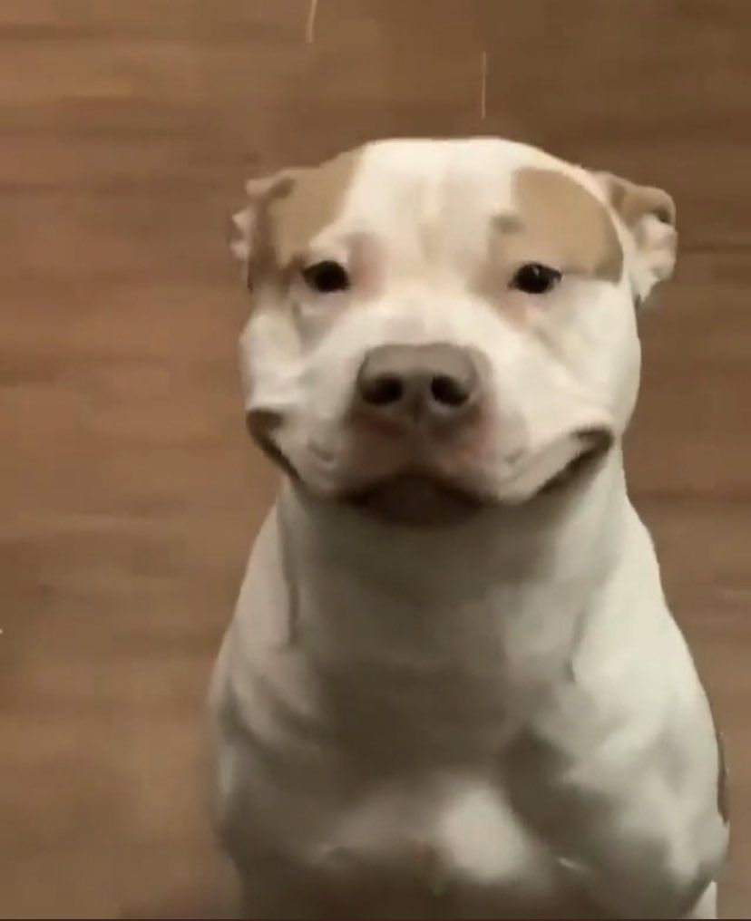 1761240999483.png