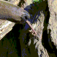 200w (1).gif