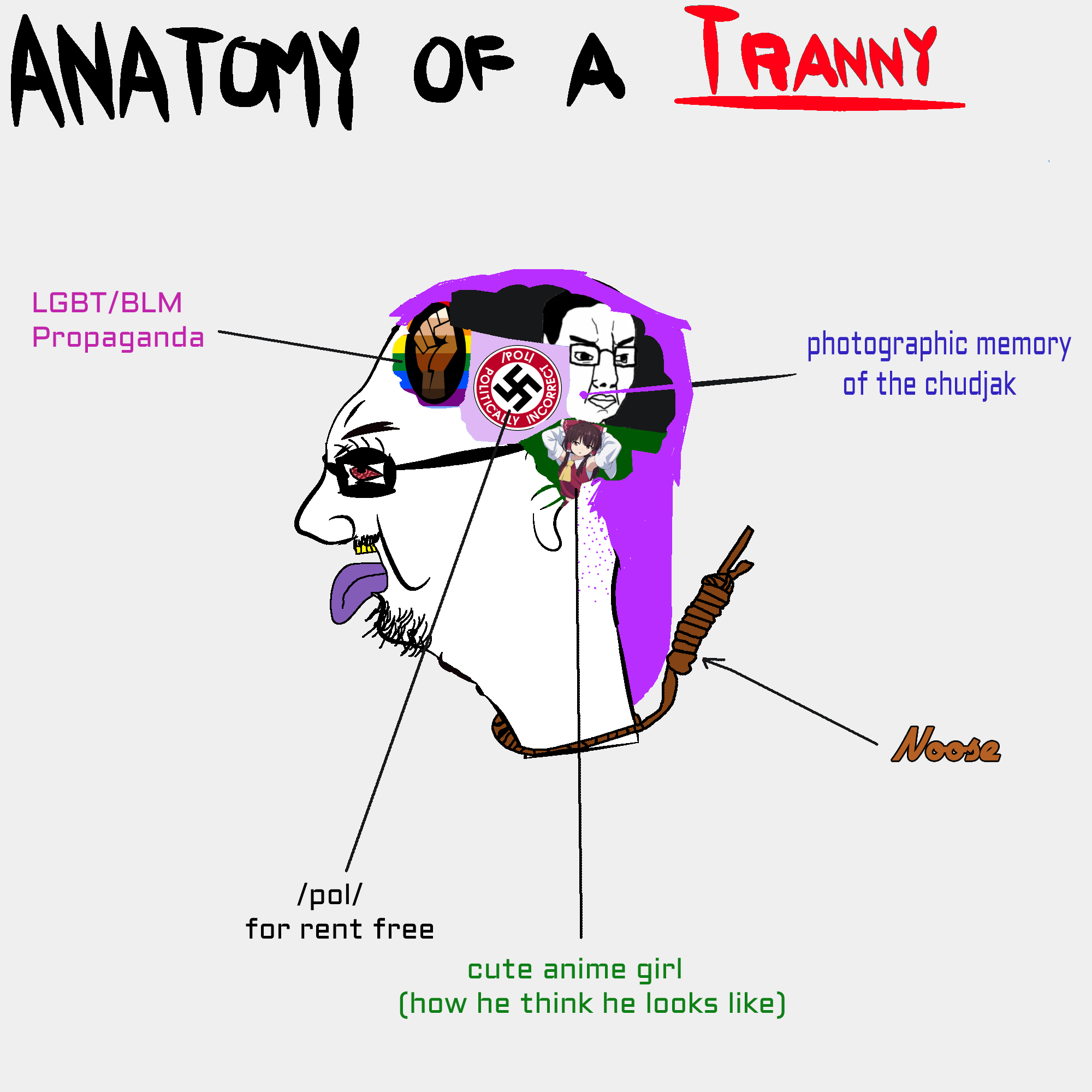 Anatomy.png