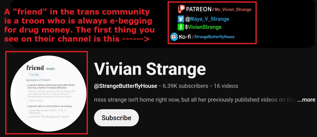 ATroonIsNOTYourFriend.jpg