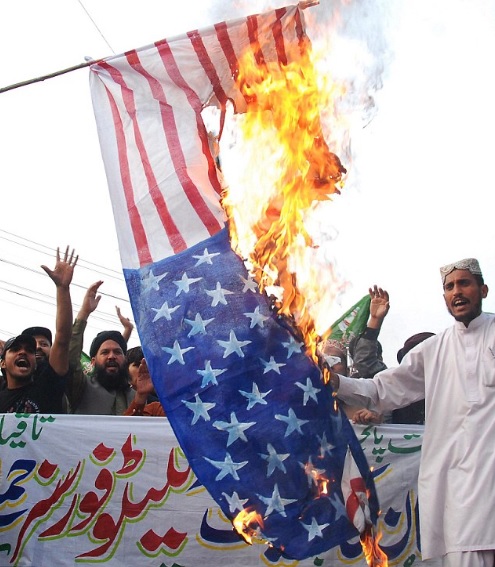AverageNullPostAmerimutt03.jpg