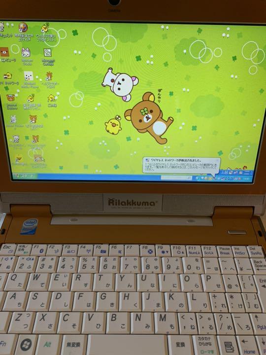 bear computer screen.jpg