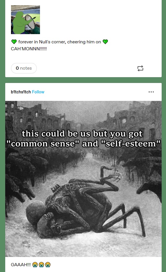 BitchLubsNullWTF.jpg