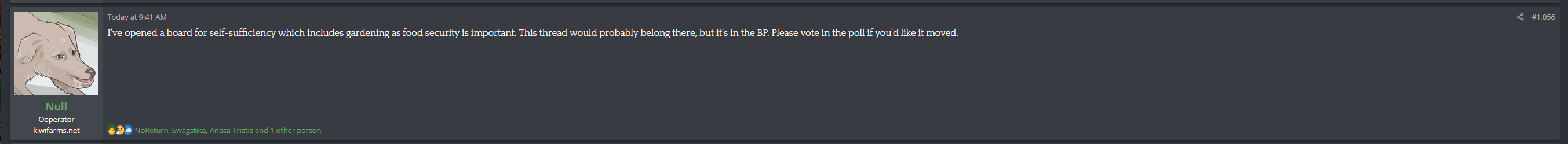 BP.PNG