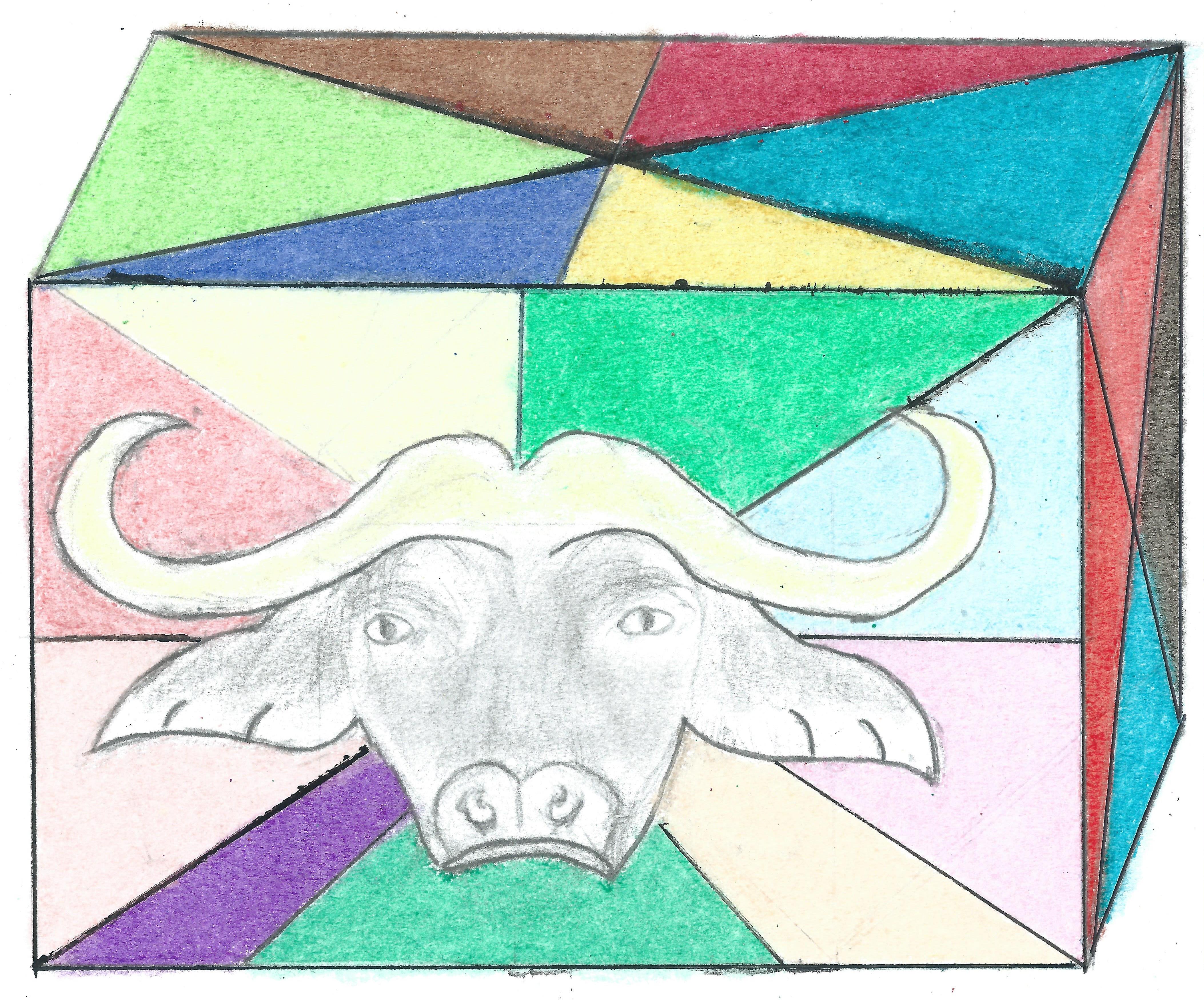 Buffalo Cube Finished.jpg