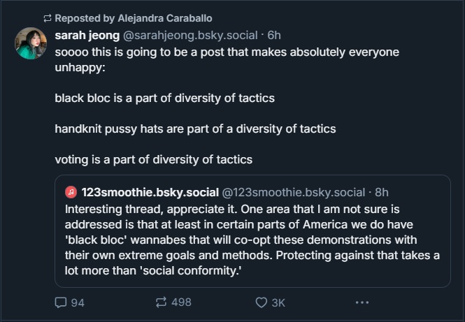 CaraballoBlackBlocIsDiversityOfTactics.jpg
