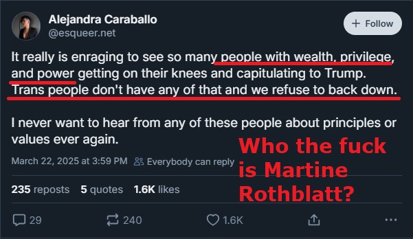 CaraballoWTFIsMartineRothblatt.jpg