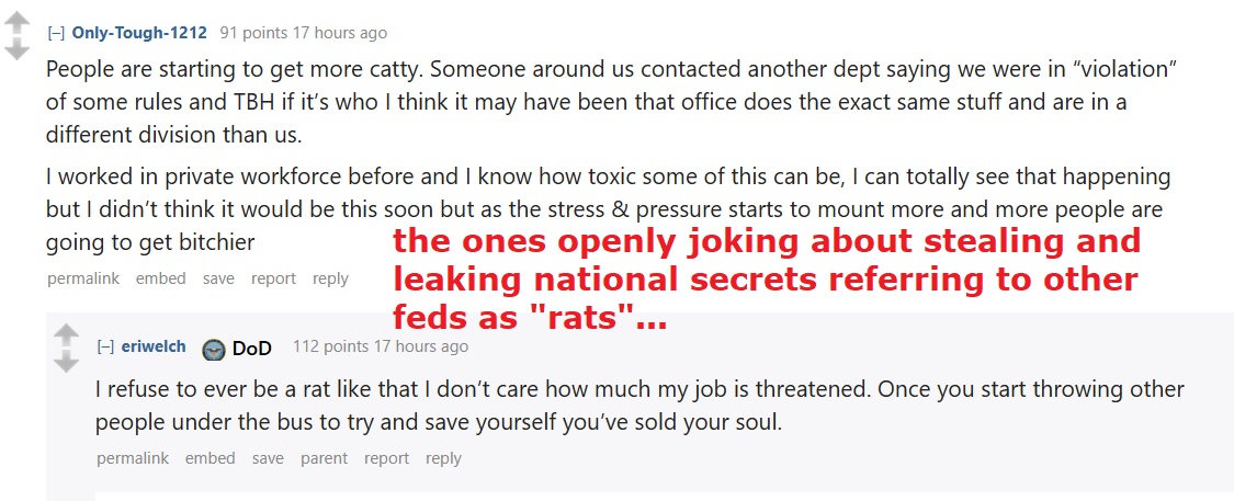 CattyFeds.jpg