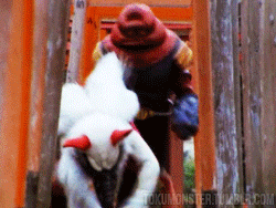chase the chicken.gif