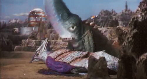 Chop gif.gif