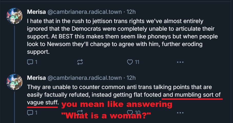 DemsCantAnswerWhatIsAWoman.jpg