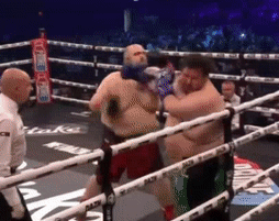 ezgif.com-crop.gif
