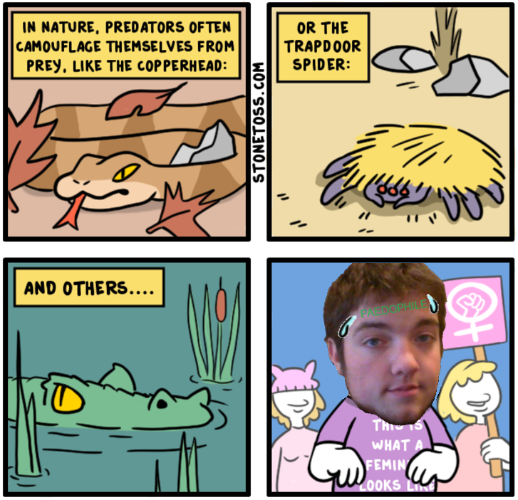 feminist_josh.png