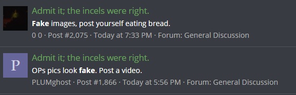 femposters.jpg