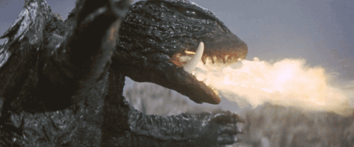 Fire Turtle.gif