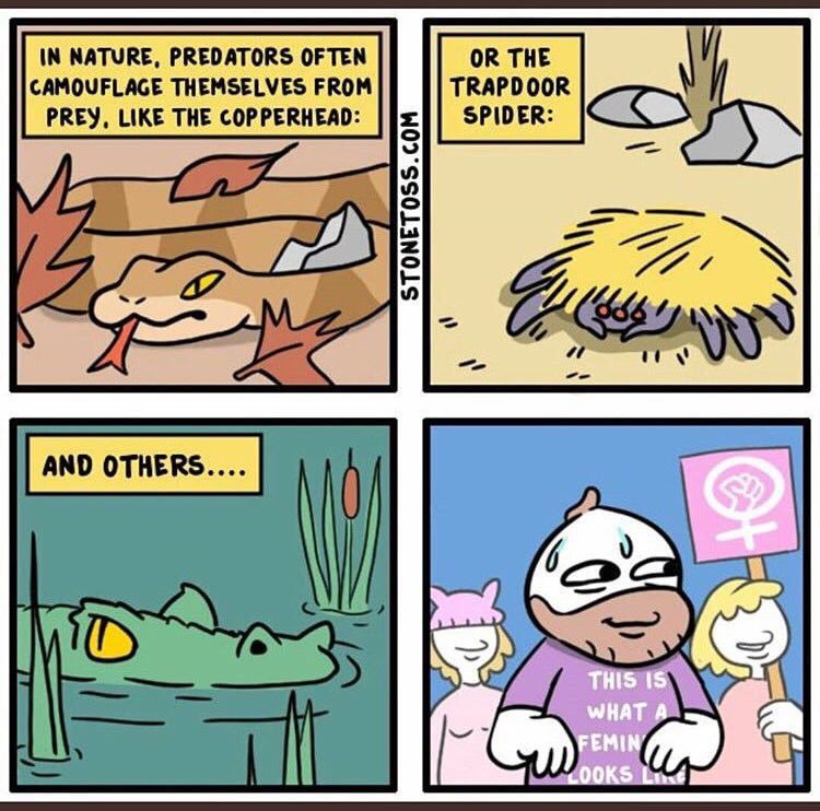 fLmVu8O.jpg