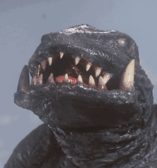 Gamera gives no fucks.gif