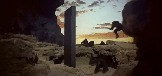 GrouchyAnnualAldabratortoise-size_restricted-2990859319.gif