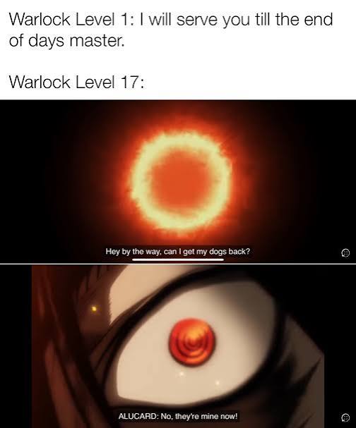 images (9).jpeg