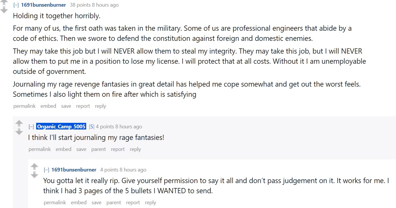 JournalingRevengeFantasies.jpg