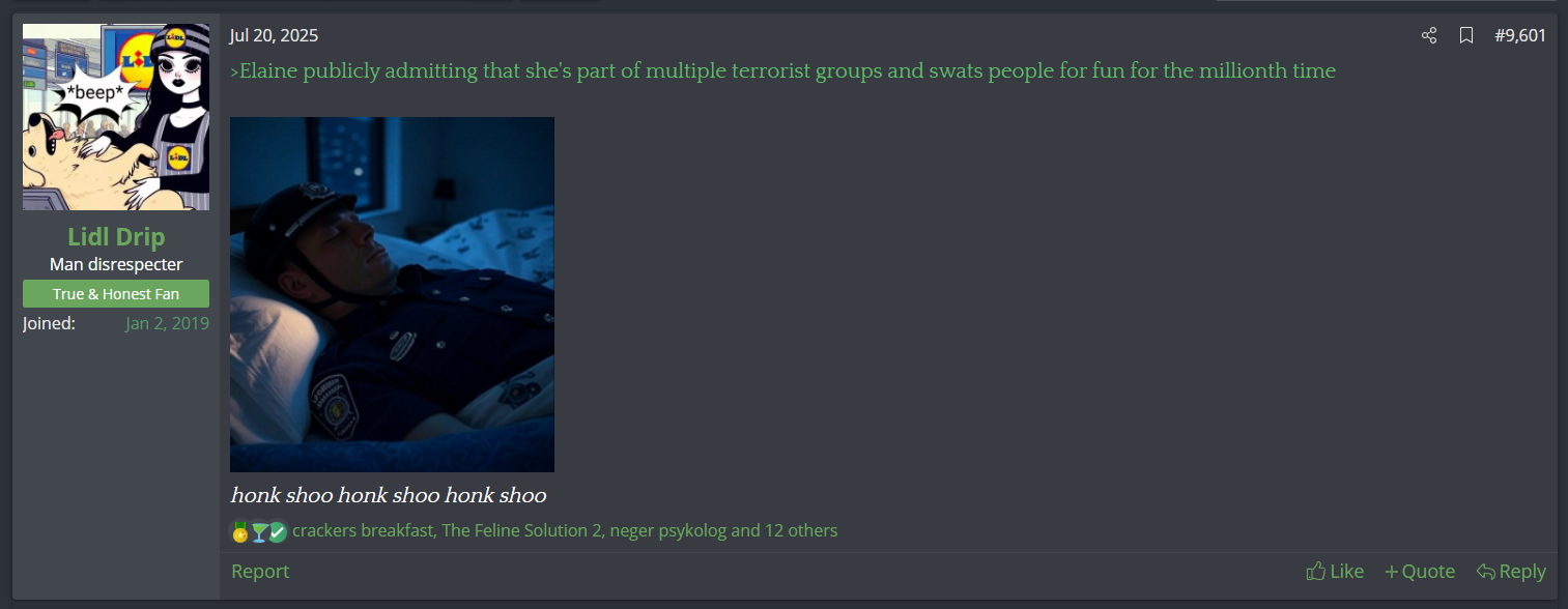 Lidl Drip hates Elaine despite both being females and white women.png