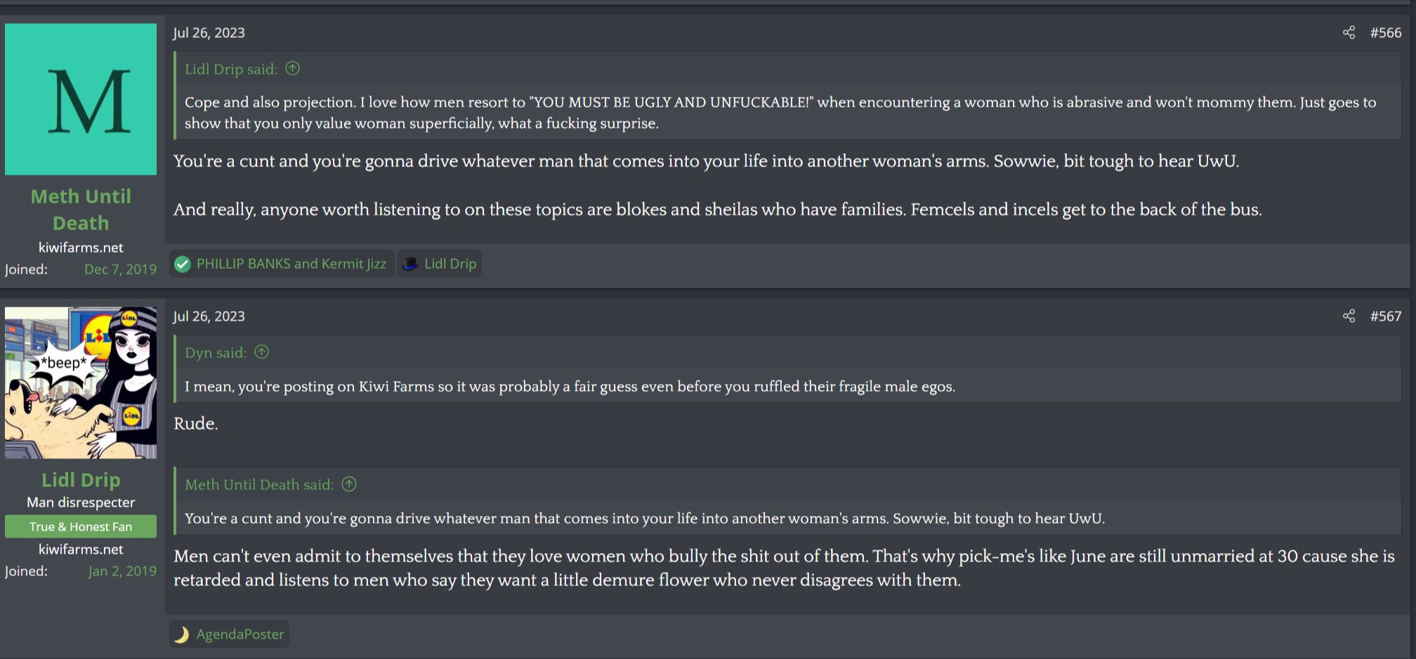 Lidl Drip - Josh projects that all men want tsundere women that bully them.jpg