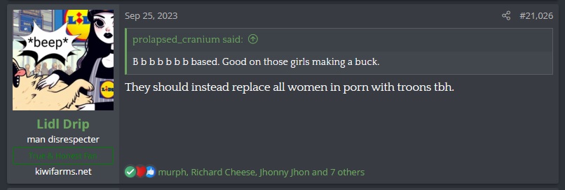 LidlDripReplaceWomenWithTroonsInPr0n.jpg