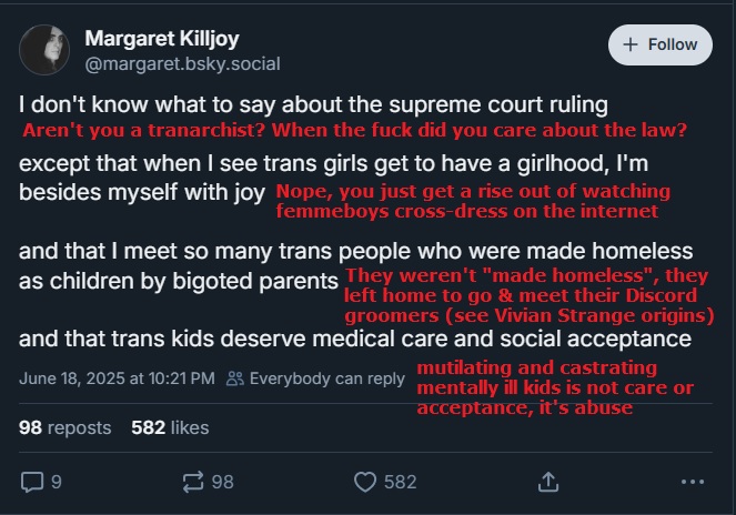 MagpieKilljoyWhenISeeTgirlsHaveAGirlhood.jpg