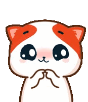 marsey-marsey-the-cat.gif