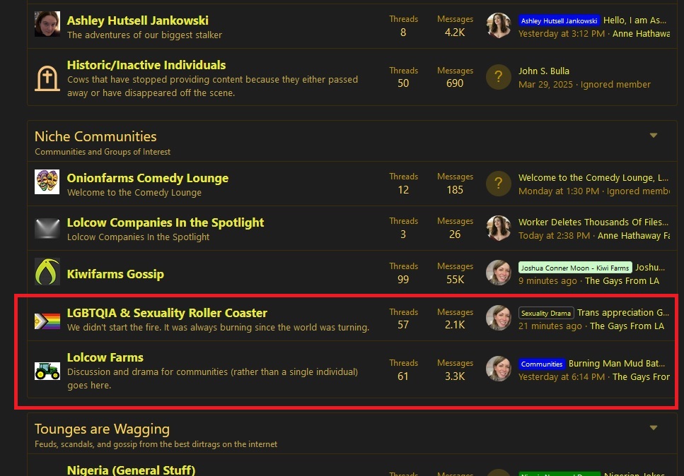 NicheCommunitiesSubforum.jpg