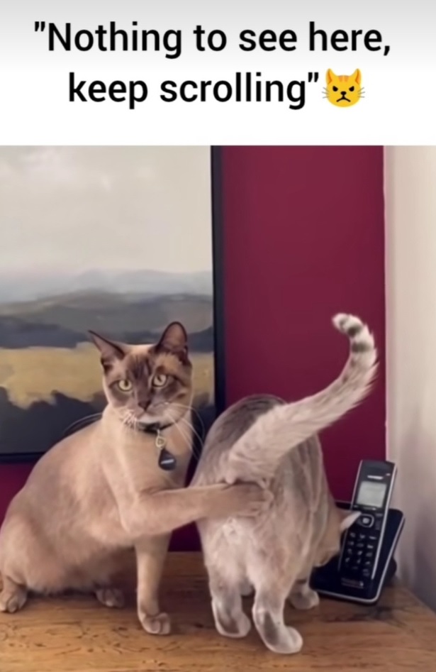 Nothing2CHereKeepScrolling.jpg