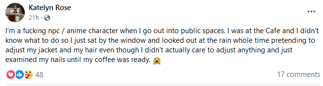 npc.PNG