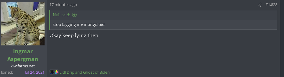 nullseethe2.png
