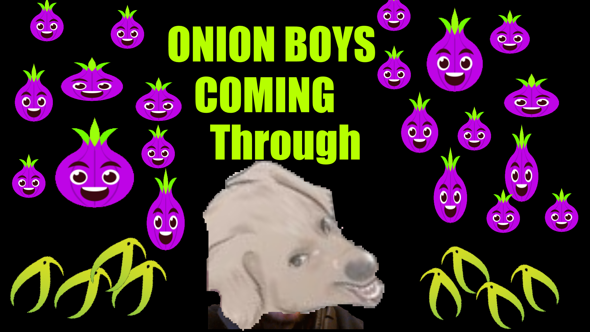 onion boys wikihow.png