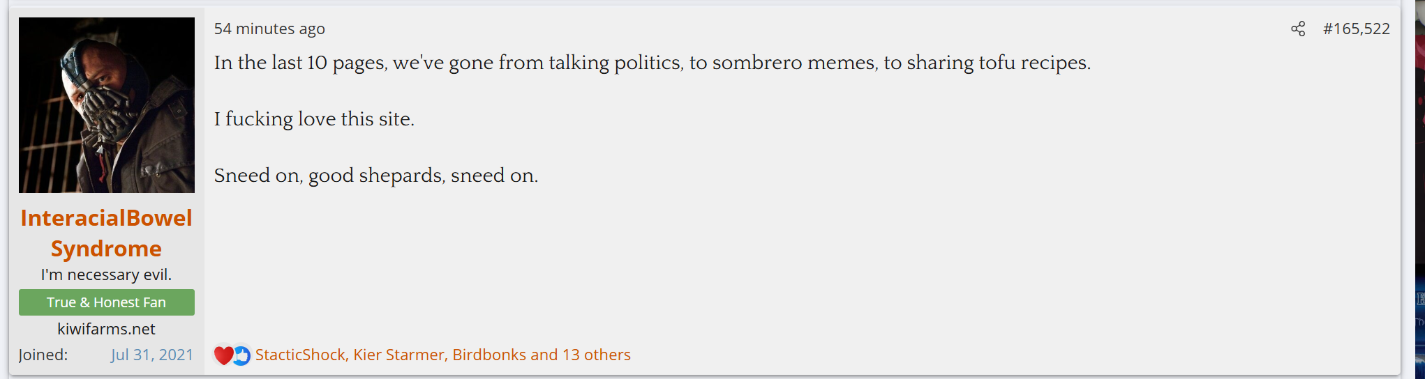 onionfarm 05.PNG