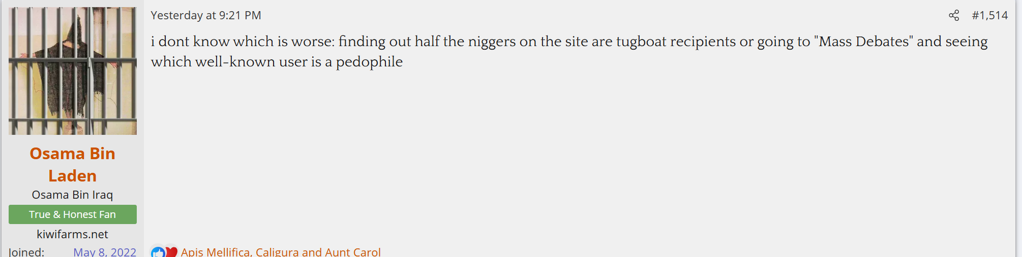 onionfarm 33.PNG