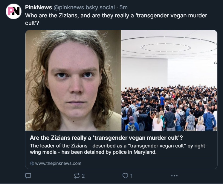 PinkNewsPinkWashingZizians.jpg