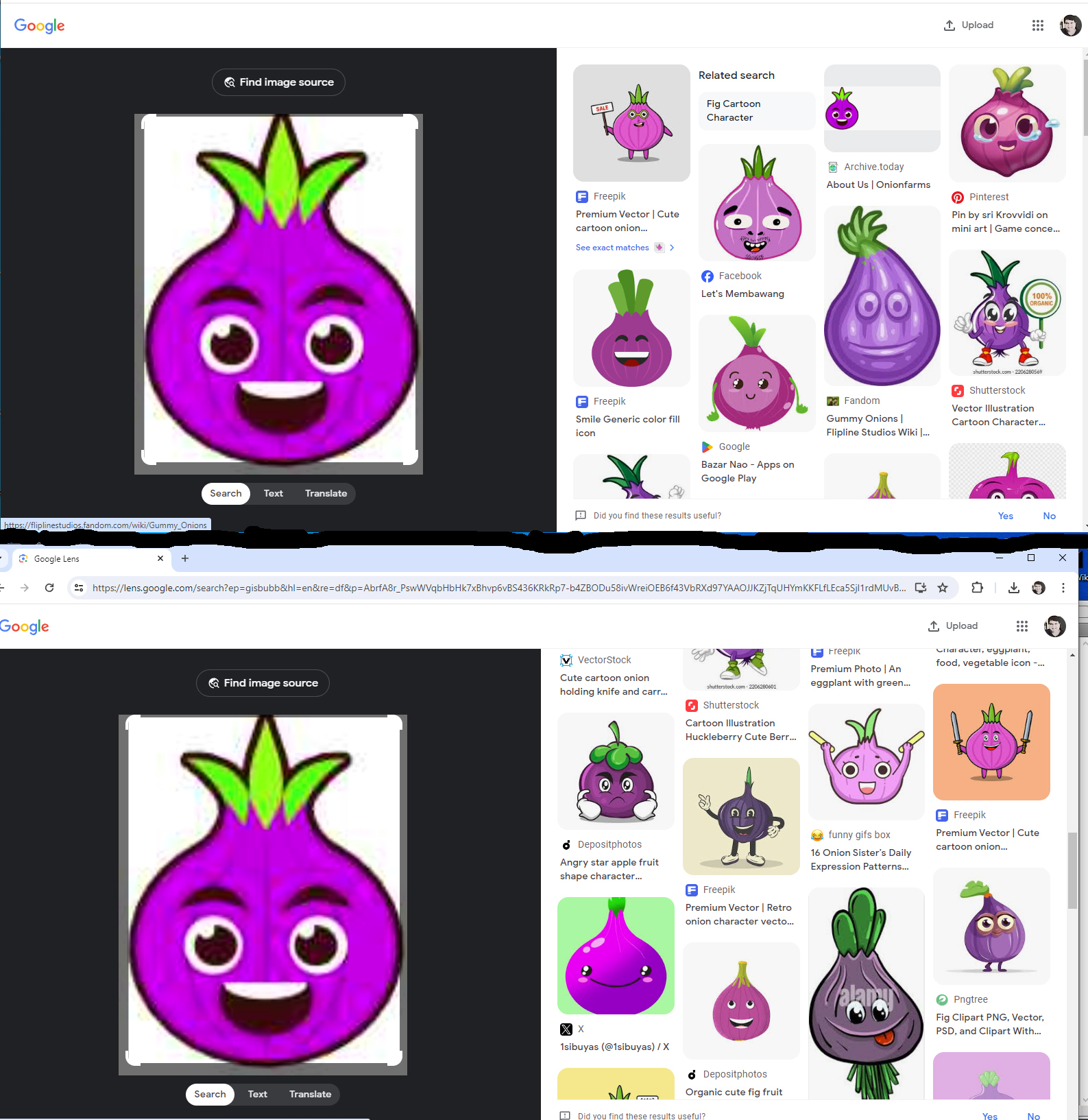 Problem with smiley onion.jpg