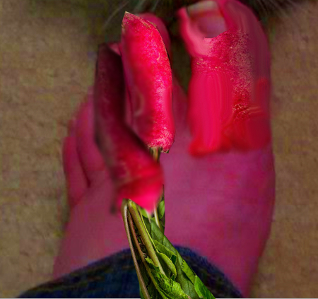 Radish Foot.jpg