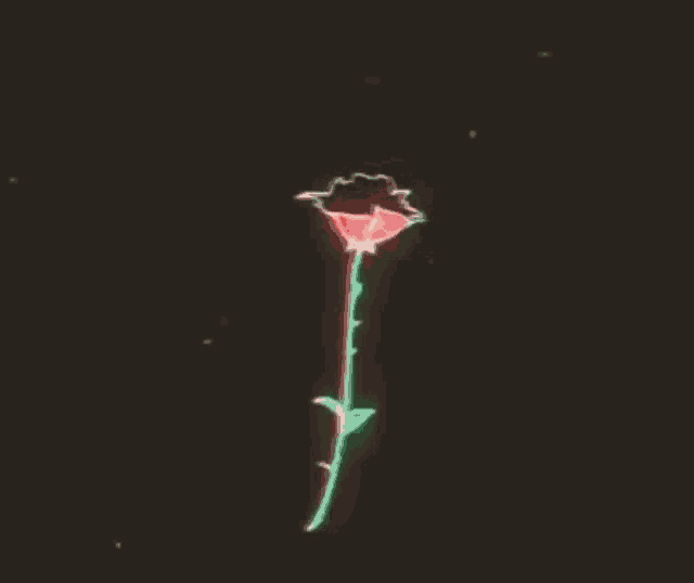 rose-spinning.gif
